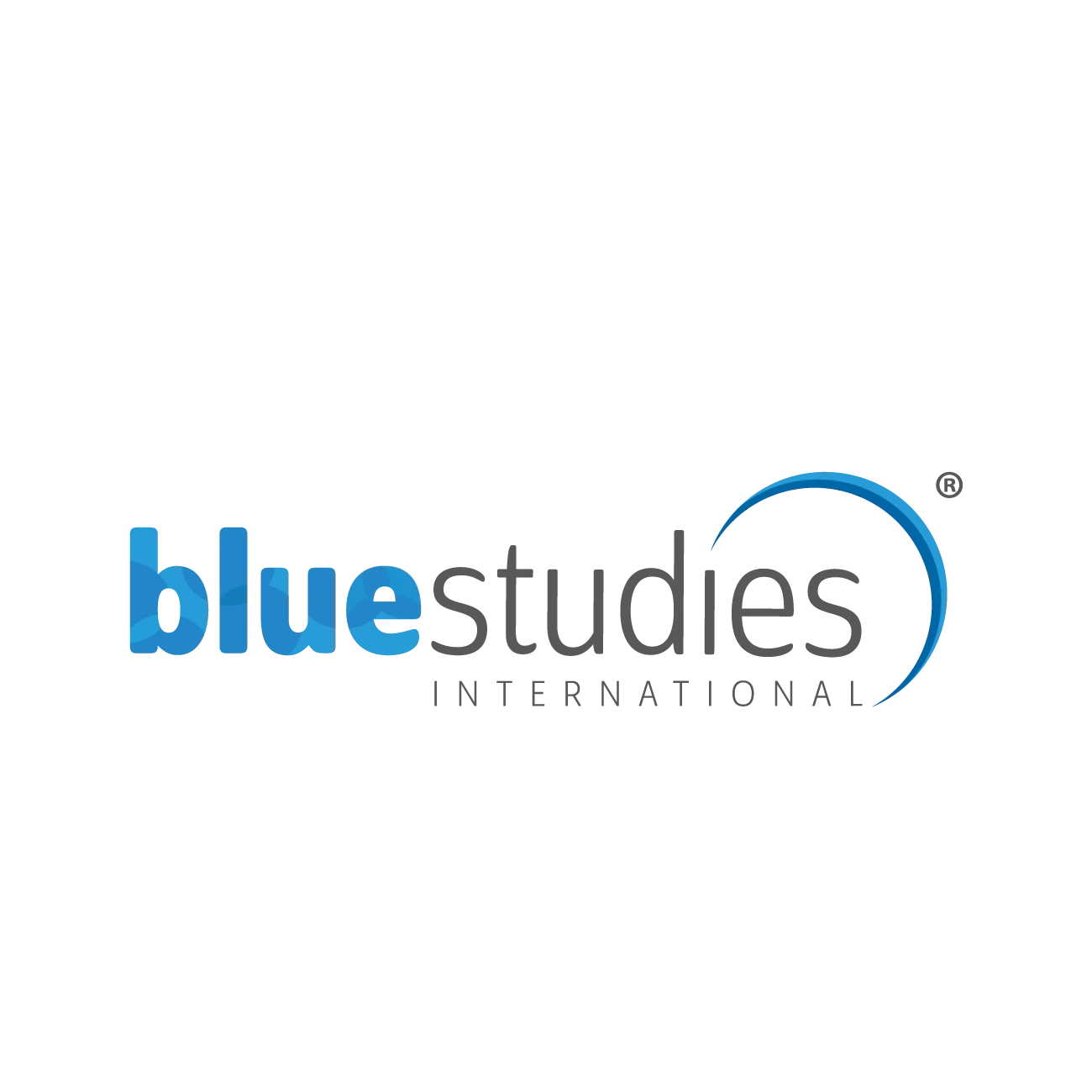 Blue Studies Partner